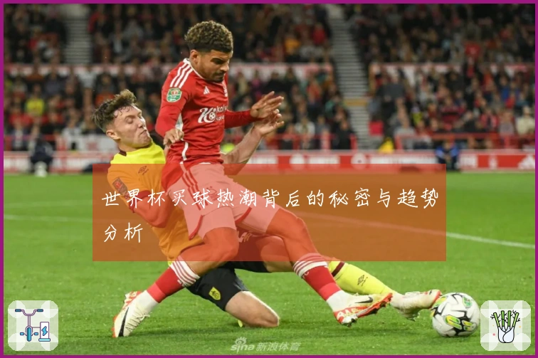 世界杯买球热潮背后的秘密与趋势分析