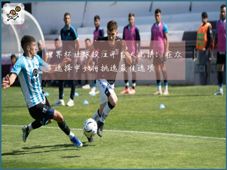 世界杯让球投注平台大比拼：在众多选择中如何挑选最佳选项