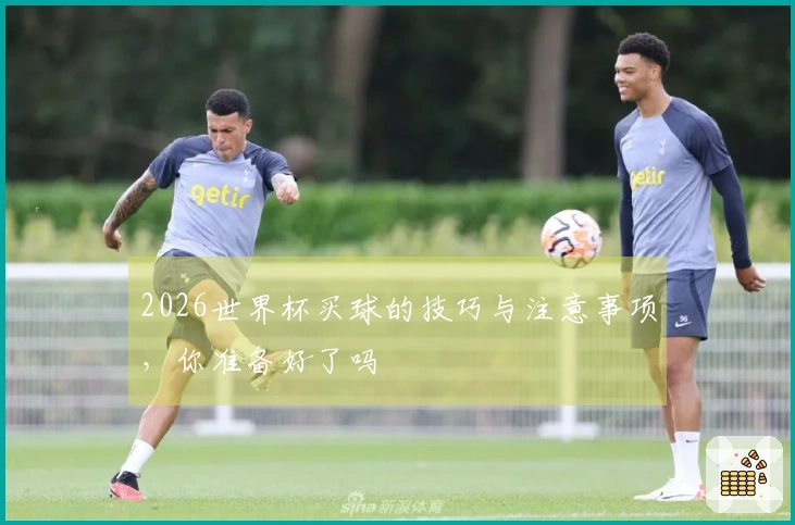 2026世界杯买球的技巧与注意事项，你准备好了吗