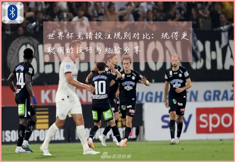 世界杯竞猜投注规则对比：玩得更聪明的技巧与经验分享