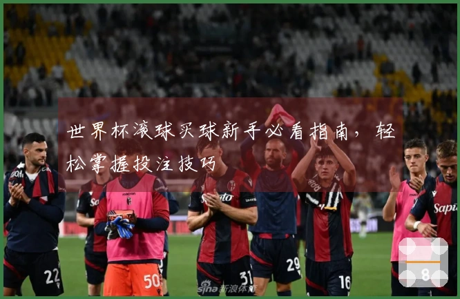 世界杯滚球买球新手必看指南，轻松掌握投注技巧