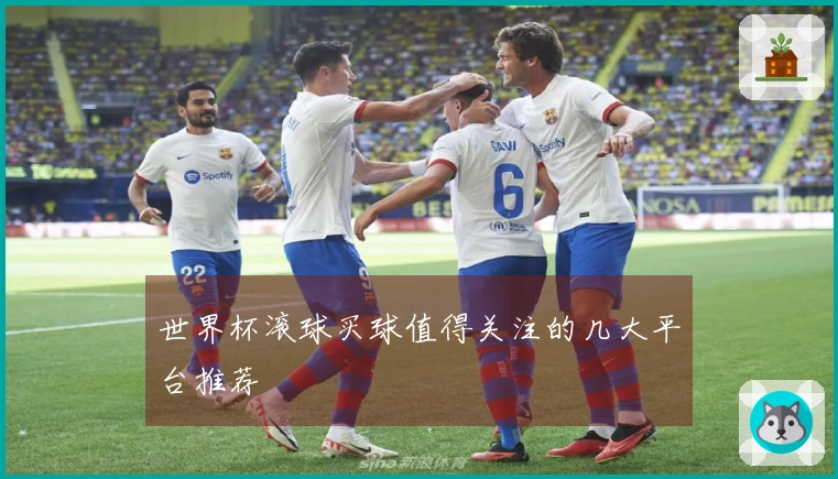 世界杯滚球买球值得关注的几大平台推荐