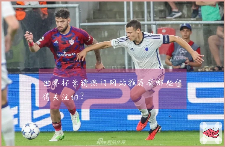 世界杯竞猜热门网站推荐有哪些值得关注的？