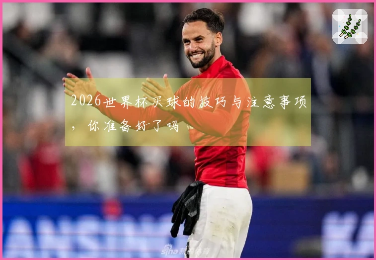 2026世界杯买球的技巧与注意事项，你准备好了吗