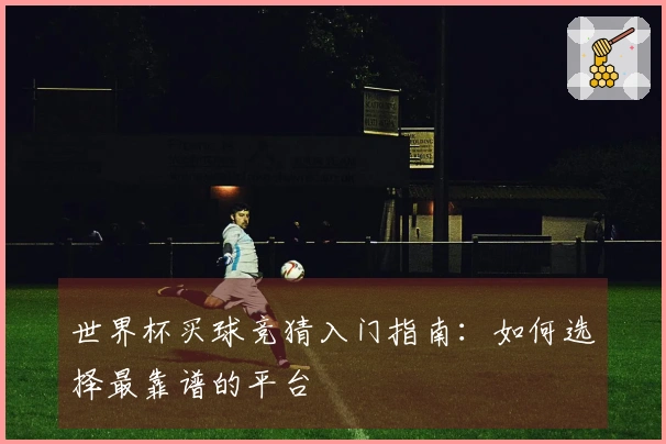 世界杯买球竞猜入门指南：如何选择最靠谱的平台