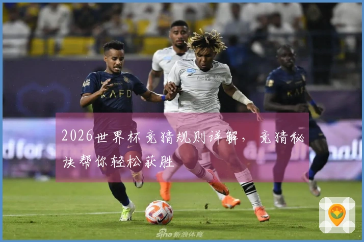 2026世界杯竞猜规则详解，竞猜秘诀帮你轻松获胜